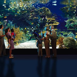 Exhibits of the Aquarium in Gatlinbury