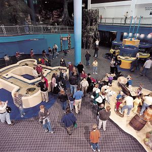 Exhibits of the Aquarium in Gatlinbury