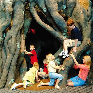 Exhibits of the Aquarium in Gatlinbury