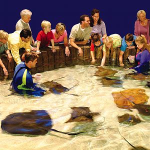 Exhibits of the Aquarium in Gatlinbury