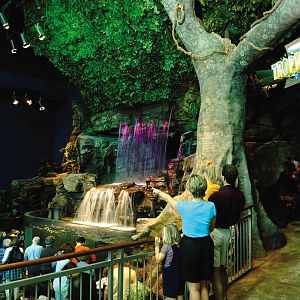 Exhibits of the Aquarium in Gatlinbury