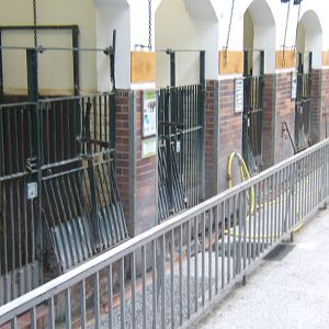 View inside the Pig House