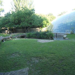 View of the outside enclosure for Common Hippo and Nyala