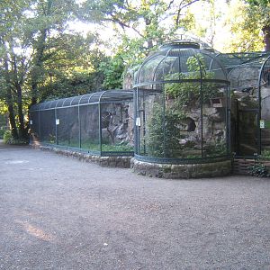 View of Bird of Prey Aviarys