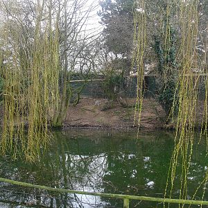 Lemur Island - 16/02/2011