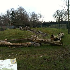 Capybara and Brazilian Tapir Enclosure - 16/02/2011