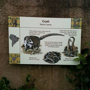 Coati Signage - 16/02/2011