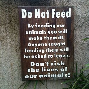"Do Not Feed" Sign - 16/02/2011