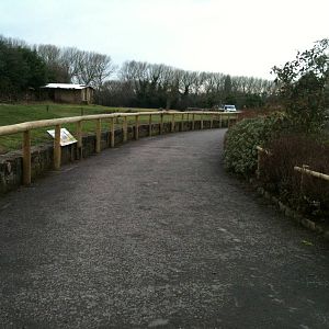 Pathway - 16/02/2011