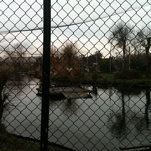 Waterfowl and Pelican Aviary (?) - 16/02/2011