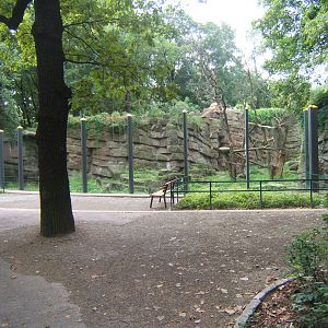 View of Spectacled Bear exhibit