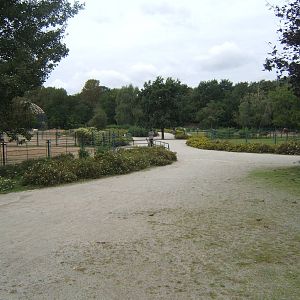 View towards the domestic hoofstock paddocks