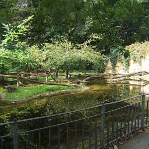View of Lemur Island