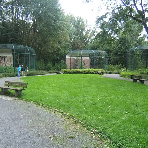 View of Bird of Prey Aviarys