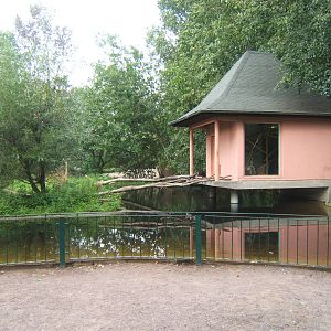 View of Gibbon House and part of Island