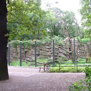 Spectacled Bear Exhibit at Tierpark Berlin 30/08/11