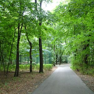 General View at Tierpark Berlin, 30/08/11