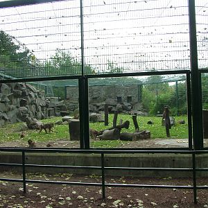 Macaque Exhibit at Tierpark Berlin, 30/08/11