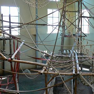 Orang-utan jungle - Main indoor enclosure
