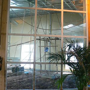 Orang-utan jungle - Second indoor enclosure