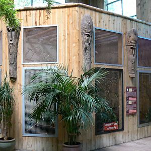 Orang-utan jungle - Bali mynah and crested wood partridge aviary