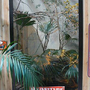 Orang-utan jungle - Bali mynah and crested wood partridge aviary