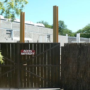 Future gorillas exhibit (2012)