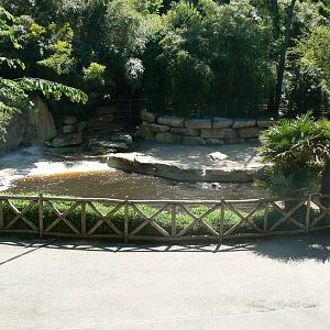 Hippopotamuses exhibit