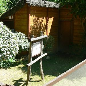 Leopard tortoises exhibit