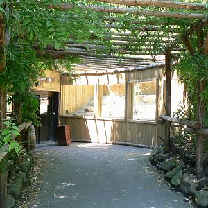 African elephants house entrance and fennec foxes outdoor exhibit