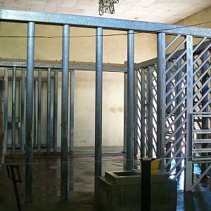 African elephants house