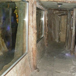 Passage in front of the egyptian fruit bats enclosure in the elephants hous