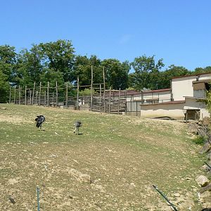 African savanna - general view