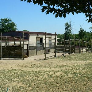 African savanna - Antelopes and giraffes house