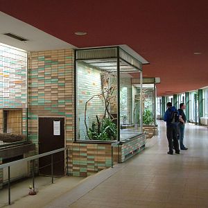 Alfred-Brehm-Haus Interior at Tierpark Berlin, 30/08/11