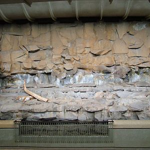 Indoor Tiger Exhibit at Tierpark Berlin, 30/08/11