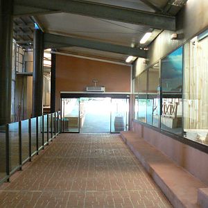 Giraffes house - passage