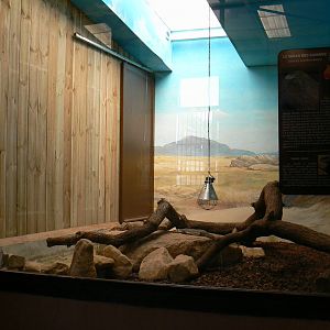 Giraffes house - savanna monitor enclosure