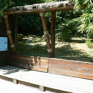 Striped hyenas exhibit