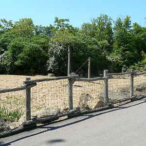 Southern white rhinos exhibit - Second enclosure