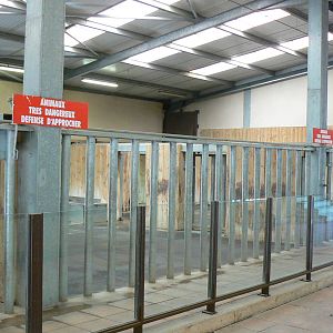 Southern white rhinos exhibit - rhinos house