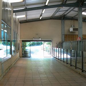 Southern white rhinos exhibit - rhinos house