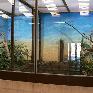 Southern white rhinos house - Madagascan ground boas exhibit