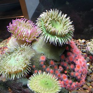 Pictures taken around opening