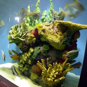 Pictures taken around opening