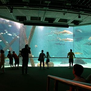 Pictures taken around opening