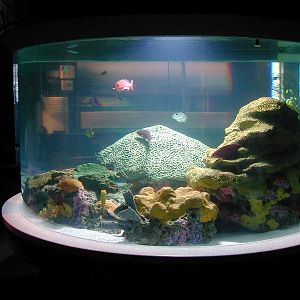 Pictures taken around opening