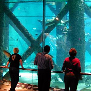 Pictures taken around opening