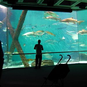 Pictures taken around opening