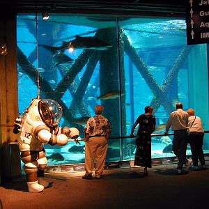 Pictures taken around opening